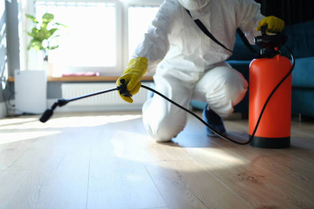 Reliable Biohazard Cleanup contractor in Mount Pleasant, TX by Dulley Family Biohazard Services